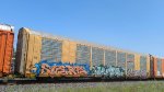 BNSF 34185 (Body) CTTX 690335 (Flat)